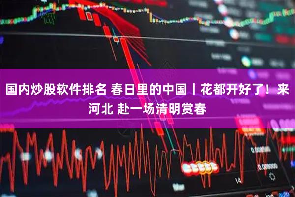 国内炒股软件排名 春日里的中国丨花都开好了！来河北 赴一场清明赏春