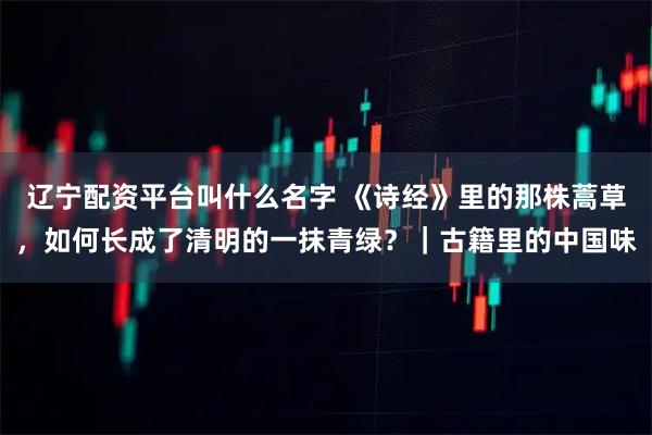 辽宁配资平台叫什么名字 《诗经》里的那株蒿草，如何长成了清明的一抹青绿？｜古籍里的中国味